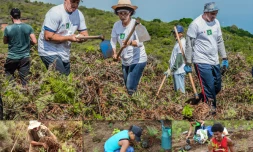 Des chantiers de plantation pour LIFE + Forêt Sèche
