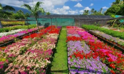 Hyper Jardin