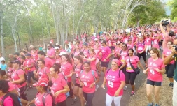 Odyssea 2014