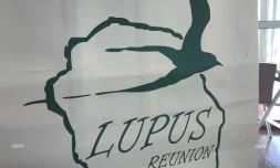 Lupus 
