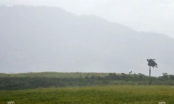 météo réunion 