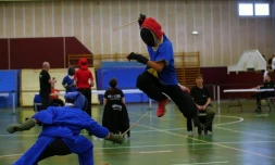 Championnat de France de Canne de combat