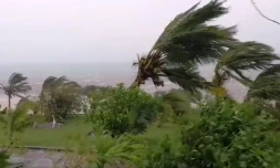 Rodrigues : après le cyclone, l'heure est à la reconstruction