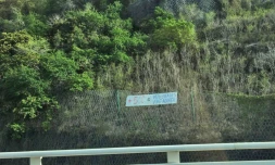 Extinction Rebellion