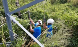 EDF : plus que jamais mobilisée pour soutenir la relance économique du territoire