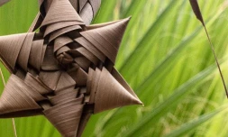 Initiation au tressage du cocotier