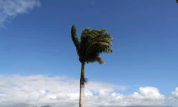 météo Réunion