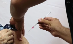 Vaccins 