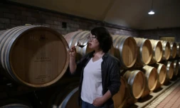 Dans le monde, "il y a de plus en plus de vigneronnes excellentes", se réjouit Zhang Jing en faisant visiter à l'AFP la cave de son domaine, Helan Qingxue, dans la région du Ningxia, dans le nord de la Chine ( AFP / GREG BAKER )