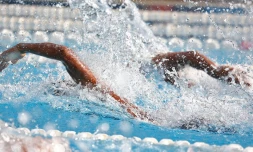 natation meetig 