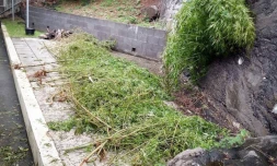 Découverte zamal gendarmes