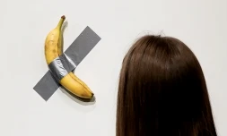 «Comedian», la banane adhésive de l’artiste italien Maurizio Cattelan, lors d’une présentation à la presse chez Sotheby’s à New York, le 25 octobre 2024.