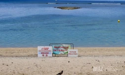 Poissons morts dans le lagon