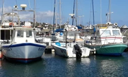 comité régional des pêches, bilan, programme, actions