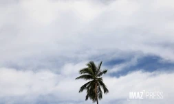 météo réunion