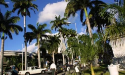 Ile Maurice