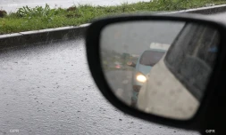 pluie février 2016