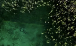 Un plongeur participe aux fouilles sous-marines du lac d'Ohrid, où se trouvent les vestiges de la plus ancienne cité lacustre, le 27 juillet 2023 à Lin, en Albanie ( AFP / Adnan Beci )