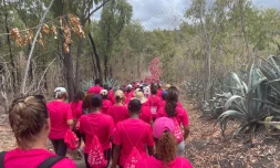 Odysséa : la vague rose déferle dans la forêt de l'Etang-Salé contre le cancer du sein