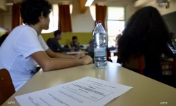 Brevet 2019
