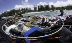 lagon, plage, Saint-Sylvestre, réveillon, pétard, fusée, feux d'artifice, pollution, coraux, poisson