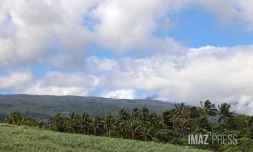 paysage est 