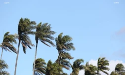 météo réunion 