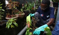 Sensibilisation contre la Dengue