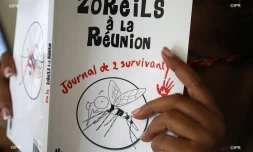 Zoreils de La Réunion 