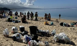 Saint-Paul : après les fêtes l'heure est au nettoyage des plages de l'Ouest