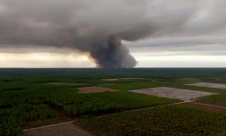 Une photo aérienne depuis Arès montre la fumée d'un incendie à Saumos (Gironde), le 22 juillet 2026 ( AFP / ROMAIN PERROCHEAU )