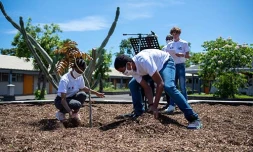 Le Port : le collège Oasis plante un arbre en hommage à la liberté