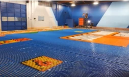 robot fresque dominos