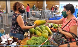 Saint-Joseph : le premier marché depuis le déconfinement 