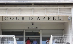 tribunal de la cour d'appel
