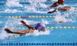 Natation comité régional Championnat hiver