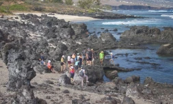 TCO : l'Office de tourisme propose une balade en bord'mer