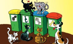 animaux