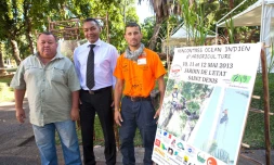 arboriculture 