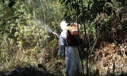 Vendredi 5 avril 2019 - opération de démoustication à la Ravine des Cabris