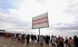 Hommage victimes requins