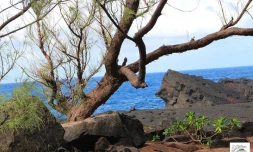 Les chasseurs de trésor piratent le Puits arabe