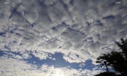 météo réunion 