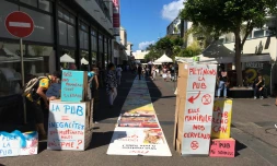 Saint-Denis : un défilé "ani-pub" pour "dénoncer l'invasion publicitaire"