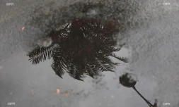 pluie 