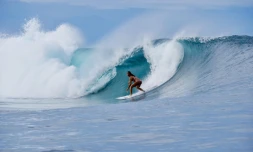 Surf