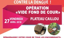 Vide fond de cour à Plateau Caillou