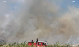 feu de canne 