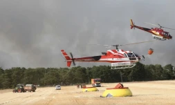 Les pompiers combattent l'incendie de la forĂȘt de Fontainebleau, le 13 juillet 2026. (