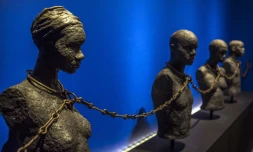 Plaine des Cafres : un jeu de piste pour transmettre l'histoire du marronage de La Réunion